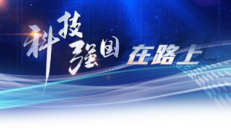 上海企业数字化转型的关键要素与案例解析